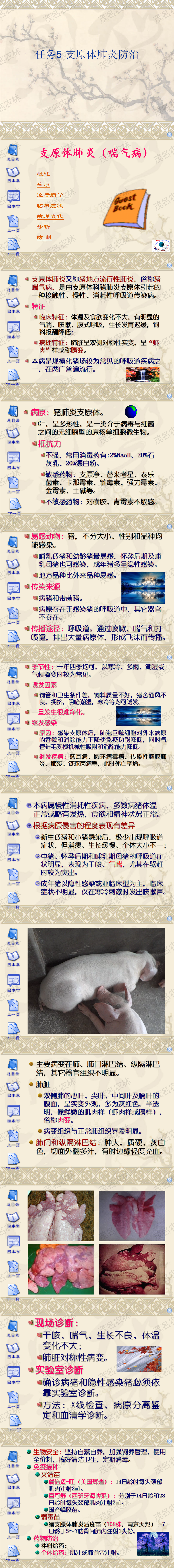 任务5 支原体肺炎防治.png