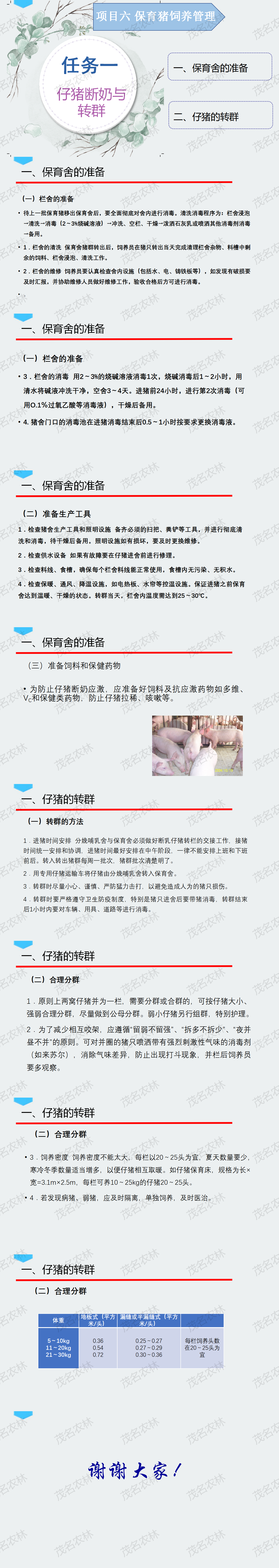 任务1 仔猪断奶与转群.png