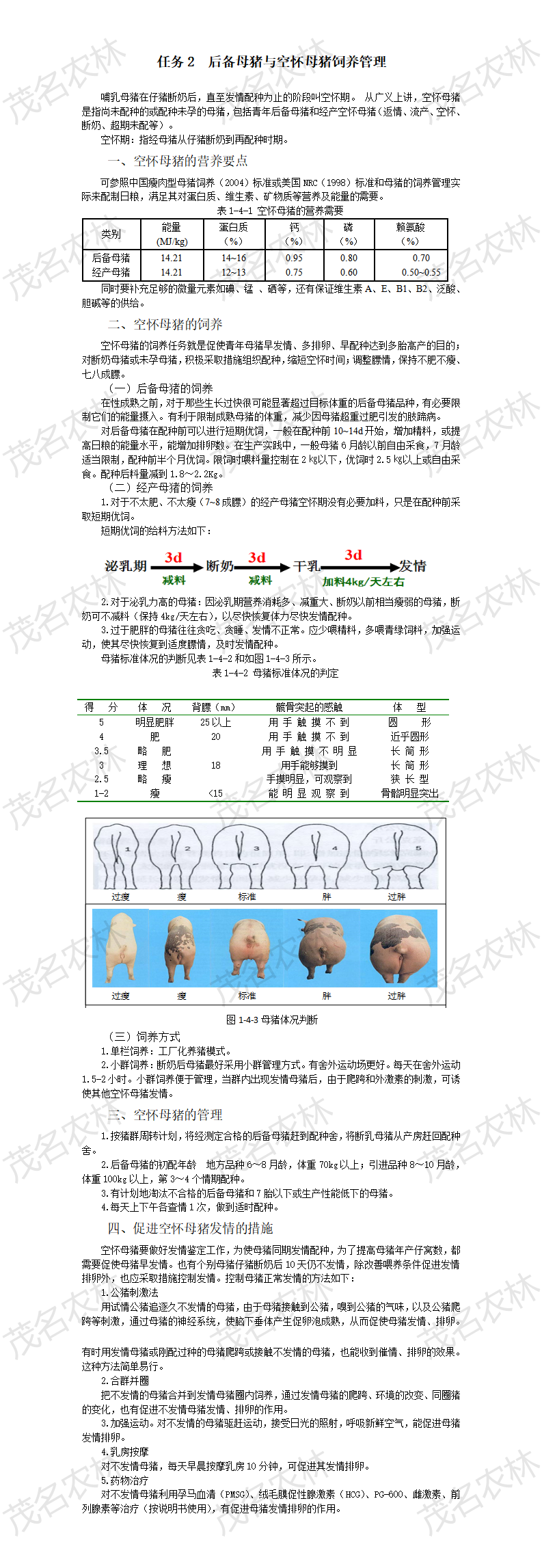 任务2 后备母猪与空怀母猪饲养管理.png