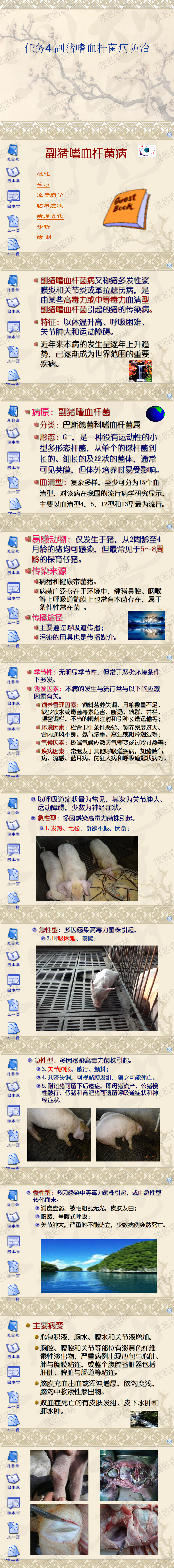 任务4 副猪嗜血杆菌病防治.png