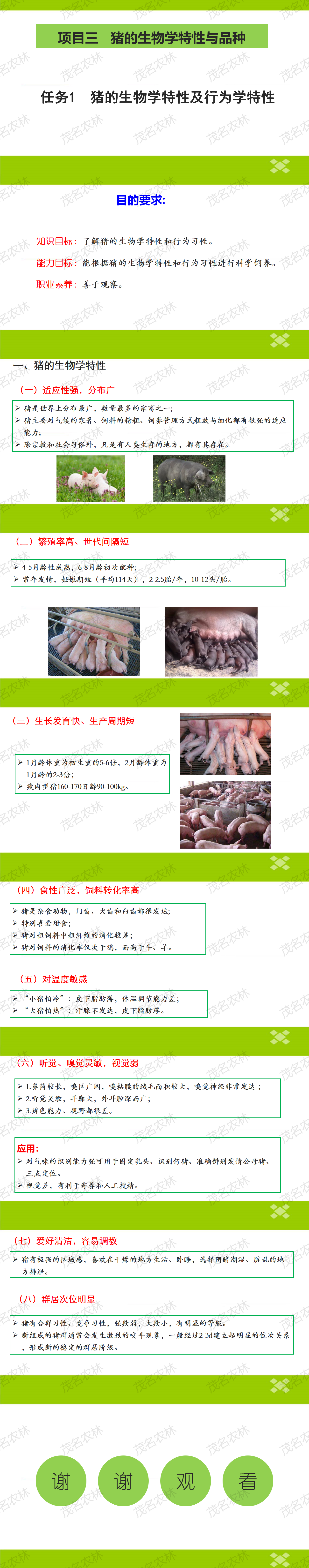 任务1-1 猪的生物学特性.png