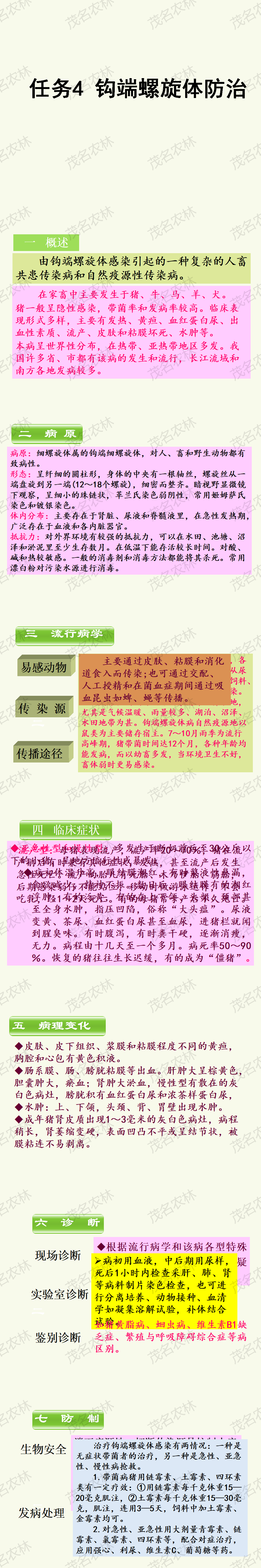 任务4 钩端螺旋体防治.png