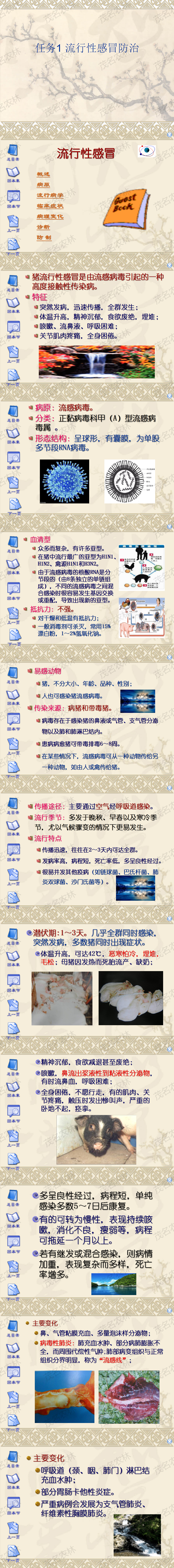 任务1 流行性感冒防治.png