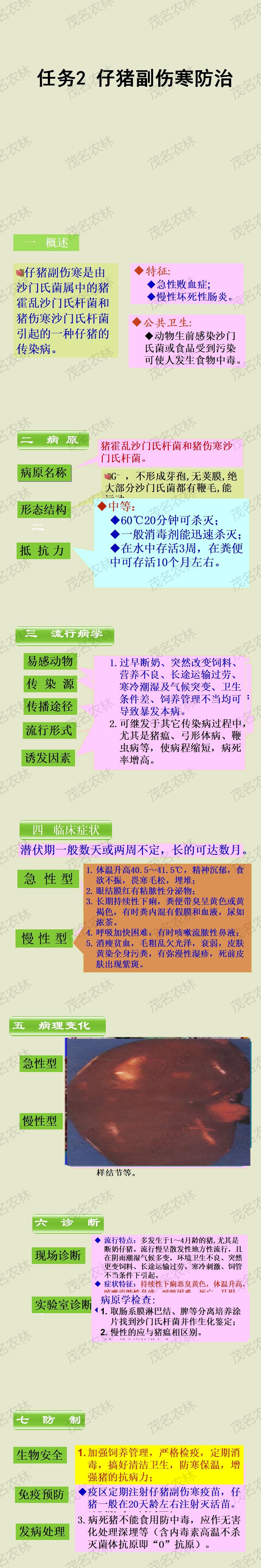 任务2 仔猪副伤寒防治.png