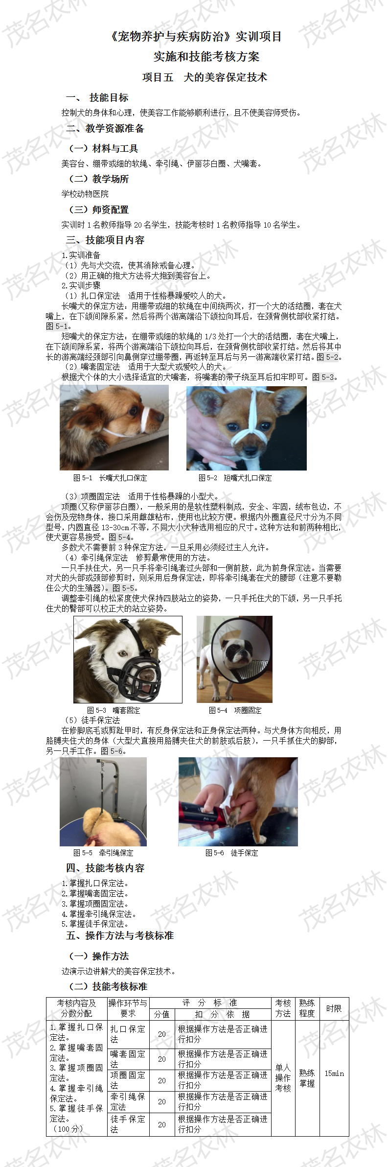 实训5 犬的美容保定技术.png